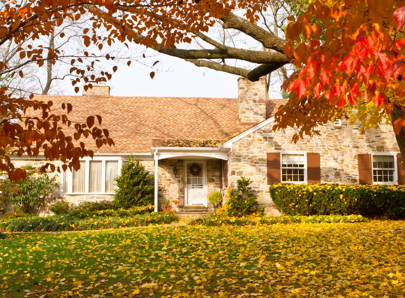 fall cleanup services in springfield il