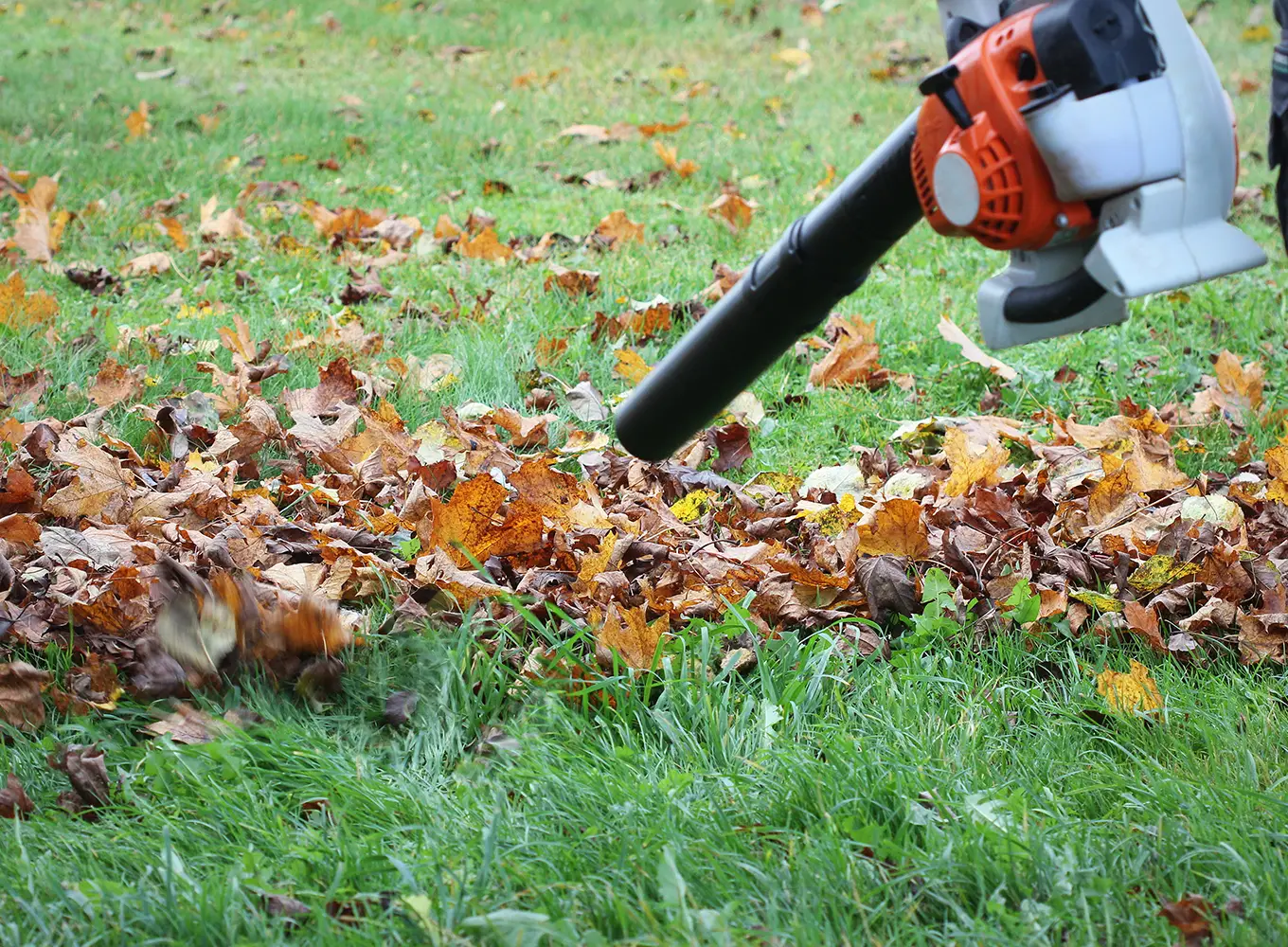 leaf removal services in springfield il