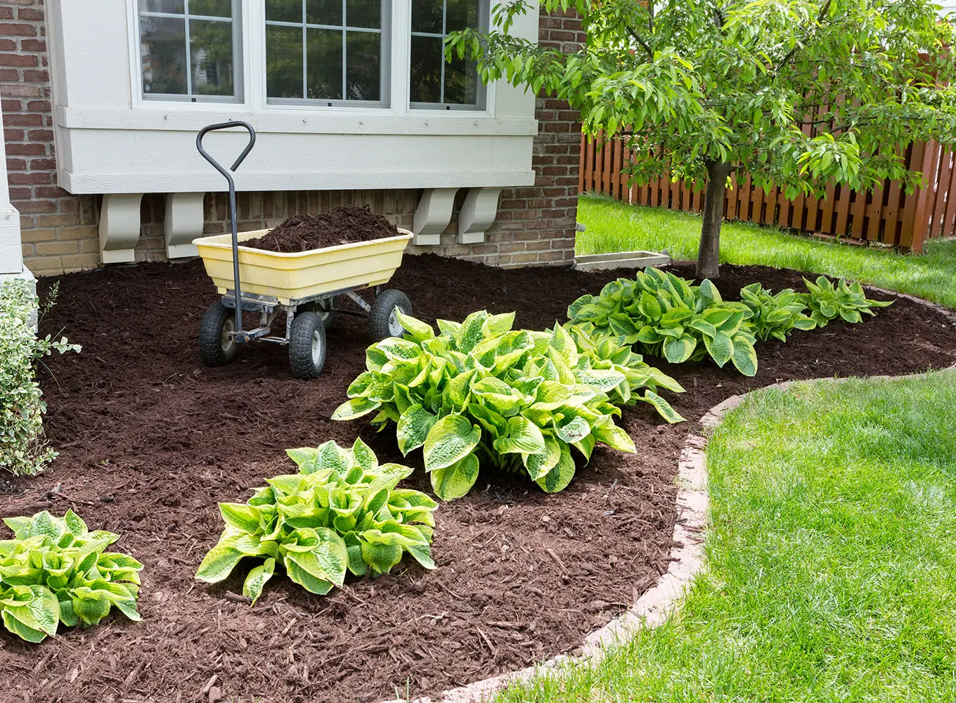 bed prep and mulch installation in springfield il
