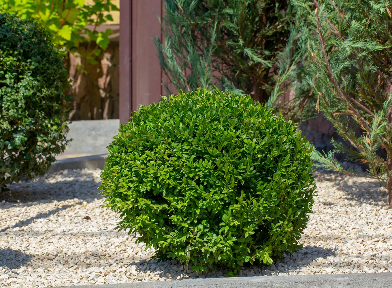 Landscape Bed Design & Installation in Springfield IL